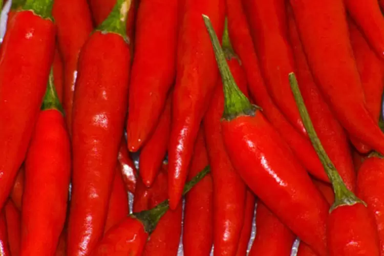 Por ter compostos termogênicos, a pimenta pode ajudar no emagrecimento (Joven David / Stock Xchng)