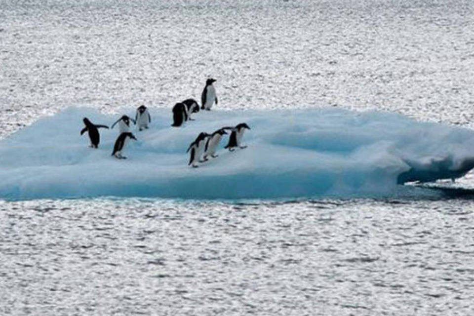 Espessura do gelo na Antártica reduz 18% em 18 anos