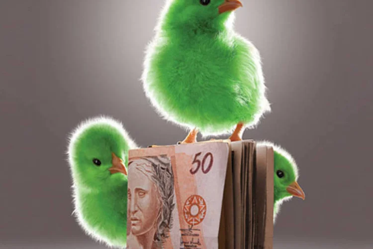 Pintinhos verdes sobre maço de dinheiro (Fábio Heizenreder/EXAME.com)