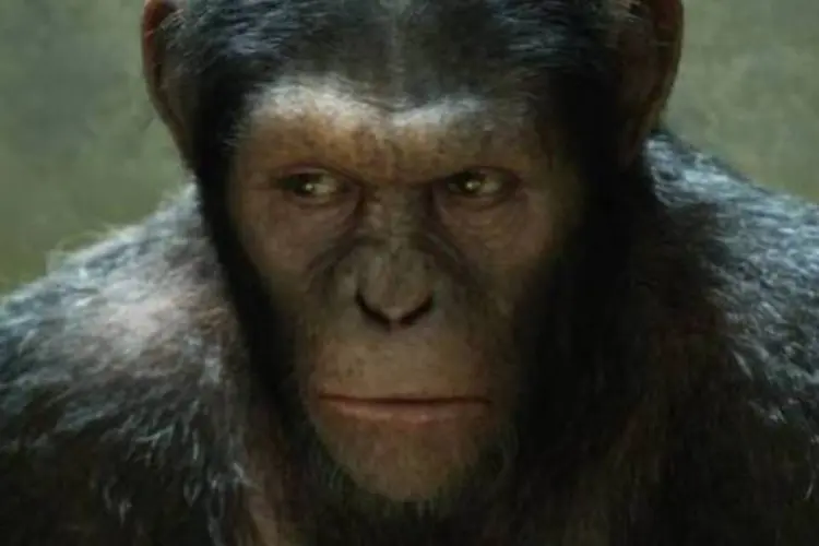César é interpretado pelo britânico Andy Serkis, o mesmo ator que fez Gollum na trilogia Senhor dos Anéis (Divulgação)