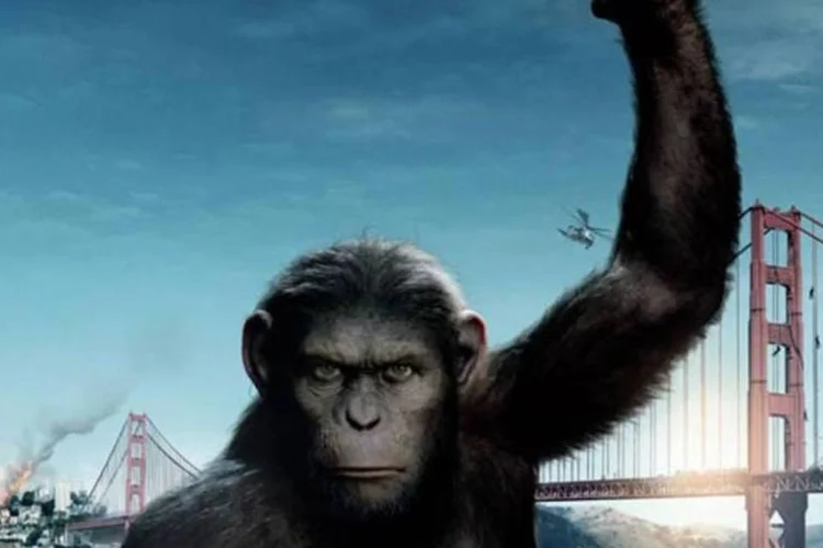 Pôster do filme Planeta dos Macacos: A Origem (Divulgação)