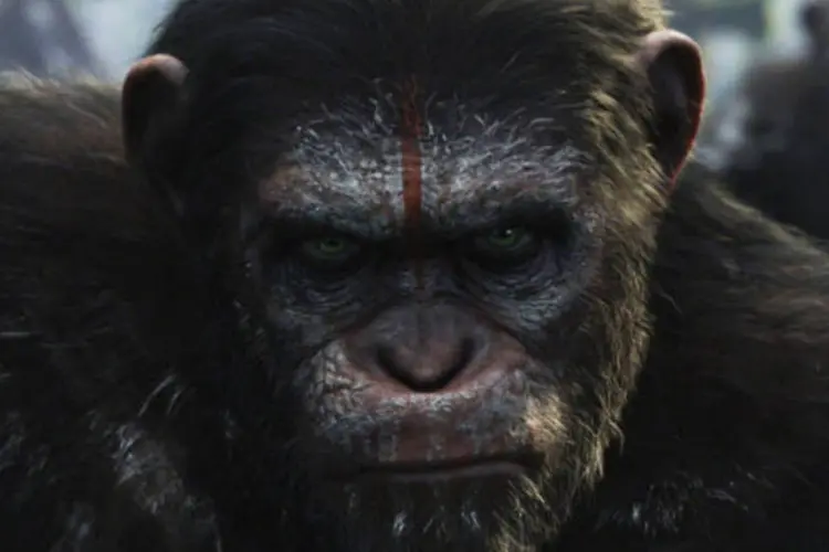 O macaco César em "Planeta dos Macacos: o Confronto" (Reprodução / Facebook "Planeta dos Macacos")
