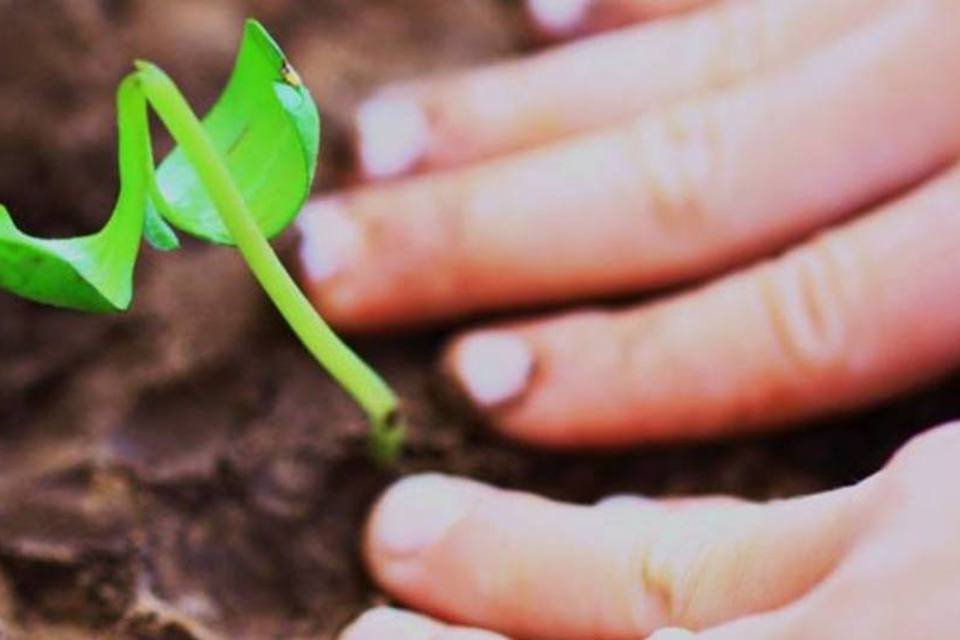 Projeto no Rio de Janeiro transforma restos de comida em adubo e energia