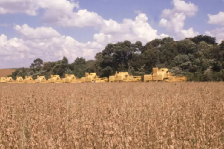 O acordo seria "uma ameaça para o agronegócio mexicano" disse o setor