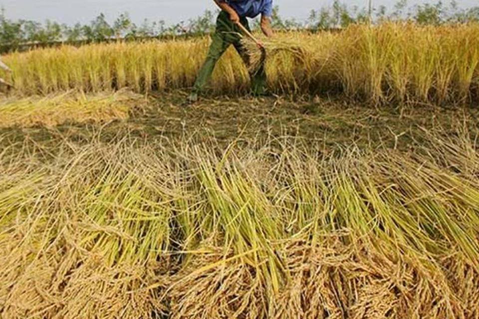 A poluição cobra uma fatura da  China - bom para o Brasil