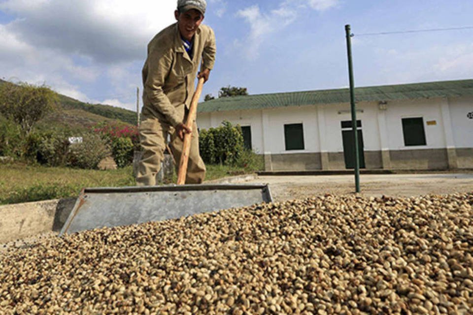 Café colombiano supera tempo de vacas magras