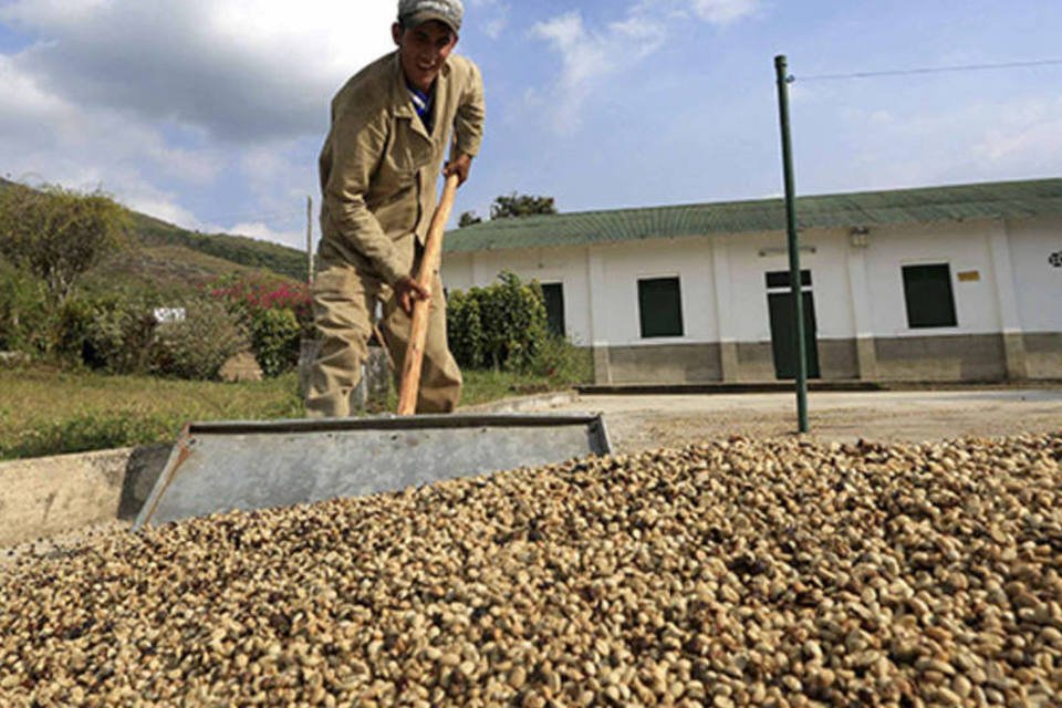 Exportação global de café recua 8,9 por cento em abril