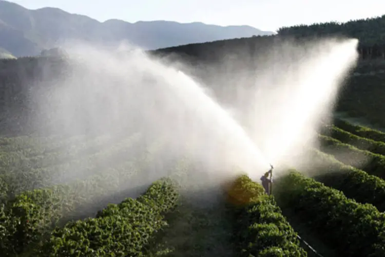 
	Planta&ccedil;&atilde;o de caf&eacute; &eacute; irrigada em uma fazenda em Santo Ant&ocirc;nio do Jardim:&nbsp;contrato maio do caf&eacute; ar&aacute;bica em NY subiu 0,08%, terminando a 1,9155 d&oacute;lar por libra
 (Paulo Whitaker/Reuters)