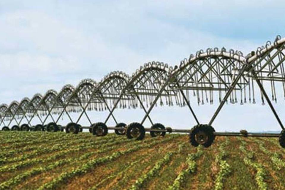 IBGE revisa PIB agropecuário do 1º trimestre