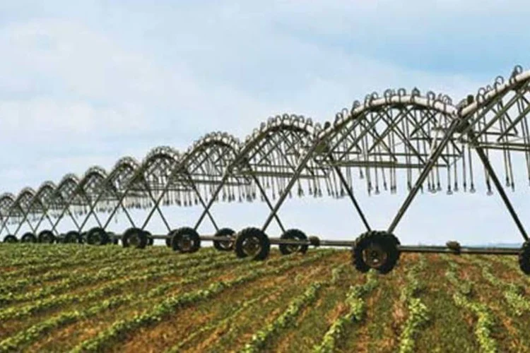 
	Planta&ccedil;&atilde;o de soja: em agosto, as exporta&ccedil;&otilde;es do agroneg&oacute;cio somaram 8,8 bilh&otilde;es de d&oacute;lares
 (Arquivo)