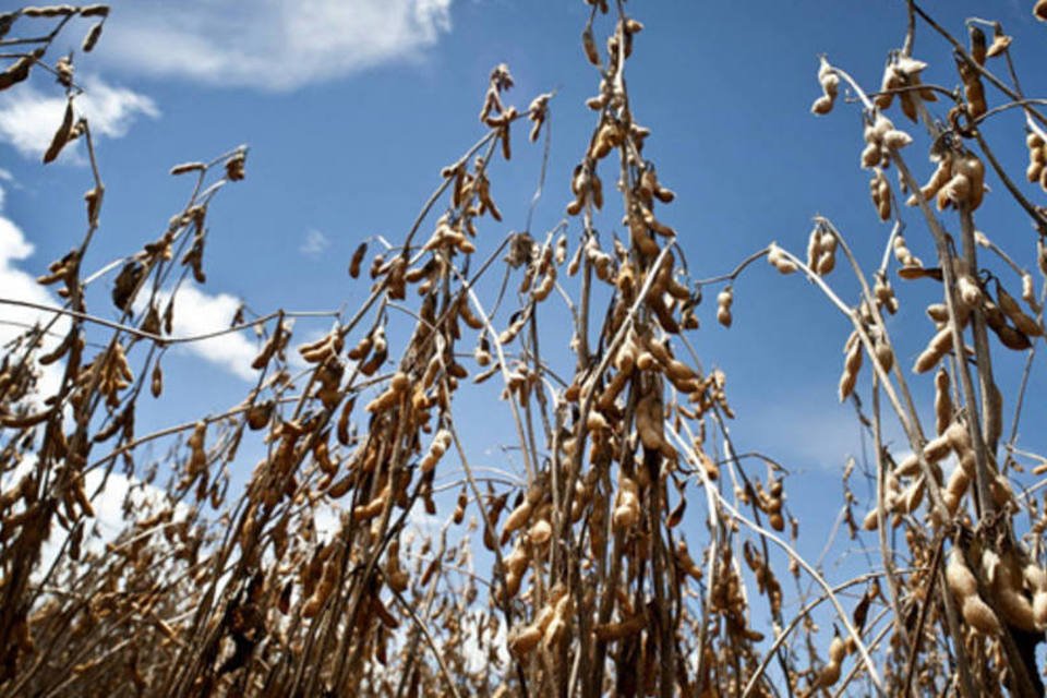Vendas de fertilizantes têm recorde com demanda da soja