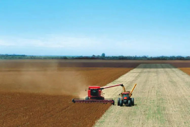 
	Planta&ccedil;&atilde;o de soja em Mato Grosso: progresso tecnol&oacute;gico contribuiu com aumento de produtividade na agricultura&nbsp;
 (Divulgação)