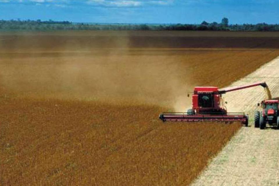 Conab estima safra de grãos 3,4% maior em 2011