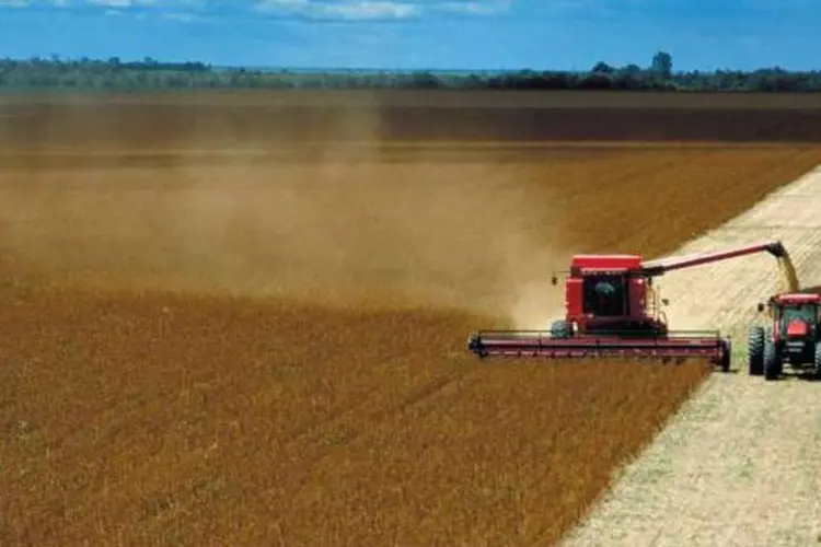 Juntos Brasil, Argentina e Paraguai têm metade da produção mundial de soja (Divulgação/EXAME)