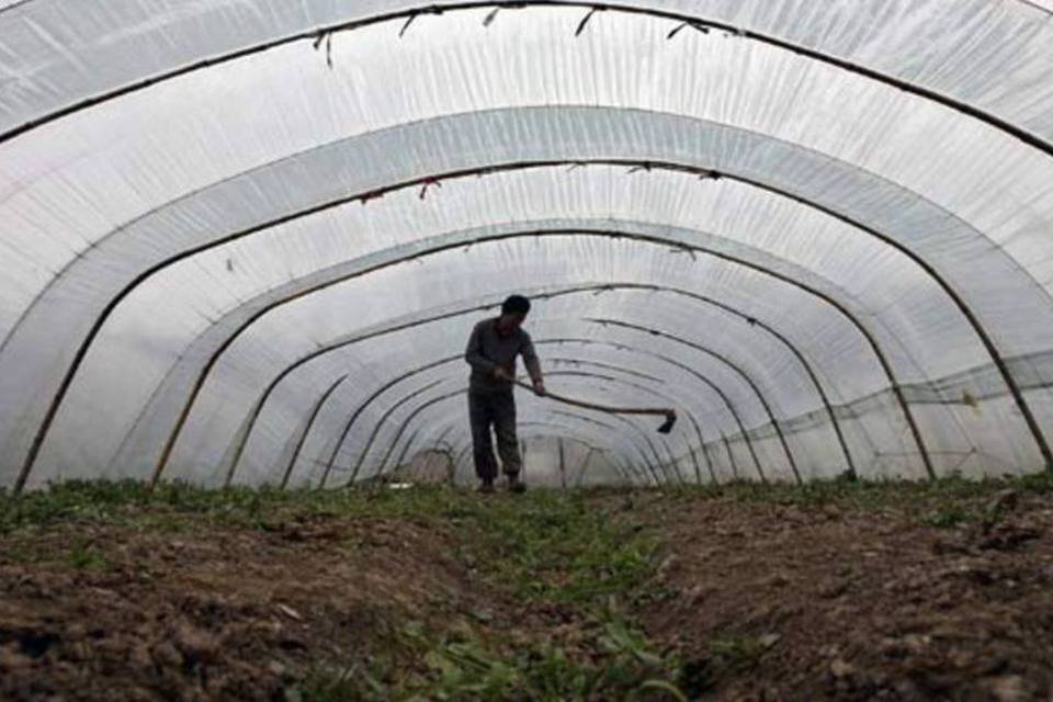 Entregas de fertilizantes no Brasil batem recorde em janeiro