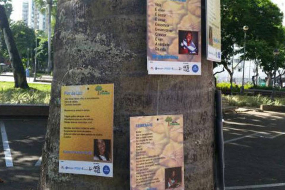 Poeta baiano homenageia Castro Alves com poesias em árvores
