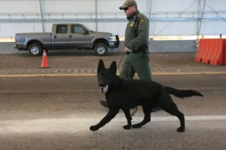 Um policial americano se prepara para inspecionar veículos na fronteira com o México (John MooreAFP)