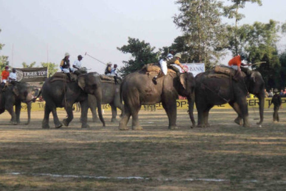Polo sobre elefantes é esporte que 'ganha peso' na Tailândia