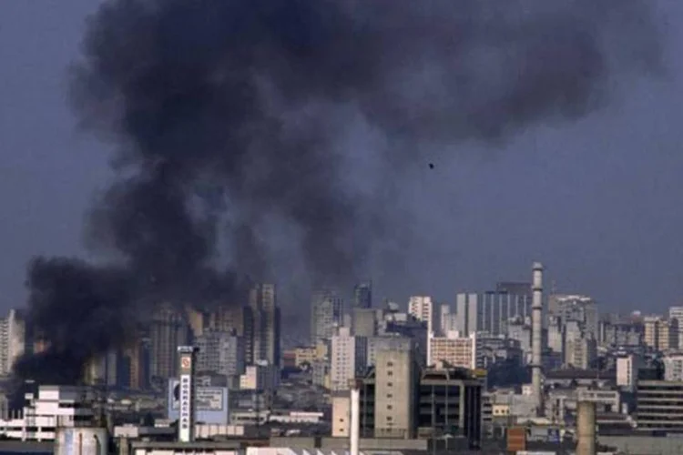 “A ideia de que a proteção ambiental está dissociada do desenvolvimento sócio-econômico é falsa", disse Sérgio Besserman, diretor da ONG WWF-Brasil (Antonio Milena/VEJA)