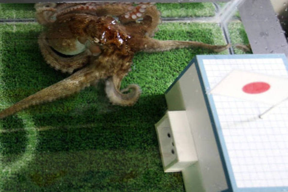 Polvo prevê vitória do Japão contra Costa do Marfim na Copa