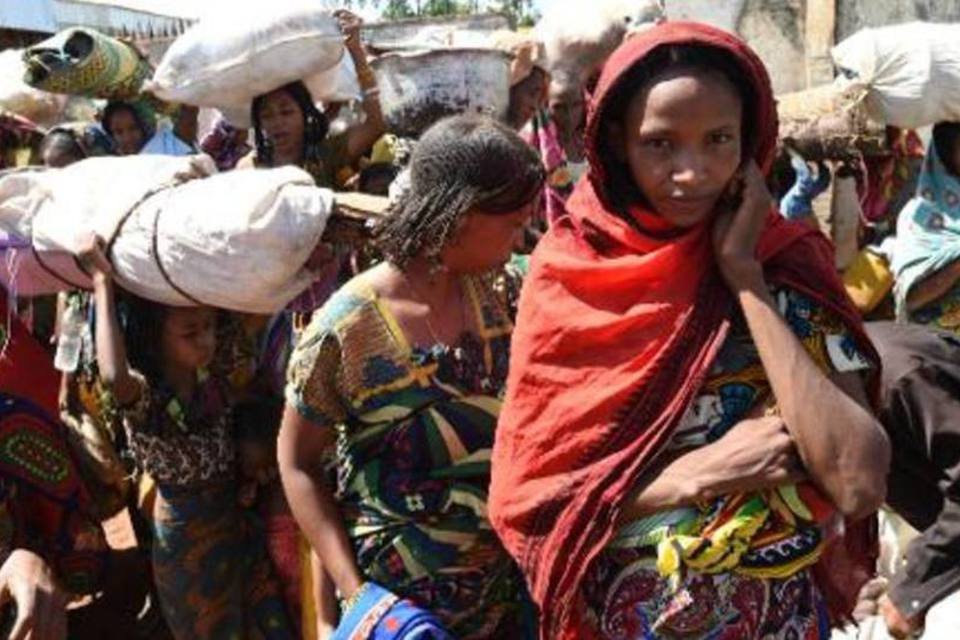 Ebola ameaça as colheitas e aumenta os preços, diz FAO