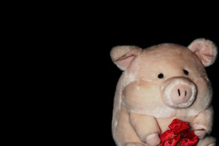 
	Porquinho de pel&uacute;cia: A poupan&ccedil;a s&oacute; ganha dos fundos com taxas muito altas
 (Stock.xchng)