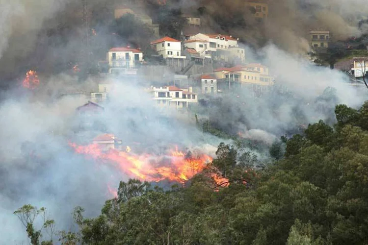 Incêndio em Caminho do Meio, Funchal, no arquipélago de Madeira, Portugal, em 10.08.2016
 (REUTERS)