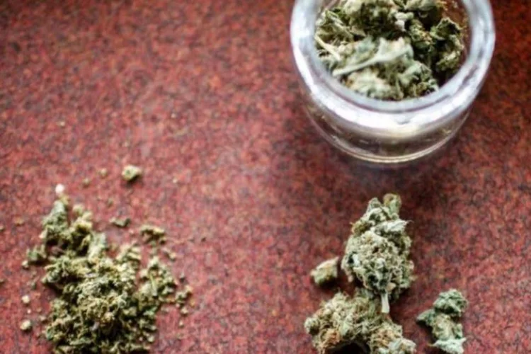 Maconha: todos os consumidores do Colorado que passaram pelas lojas oficiais nesta quarta economizaram cerca 25% do valor da compra (Reuters)