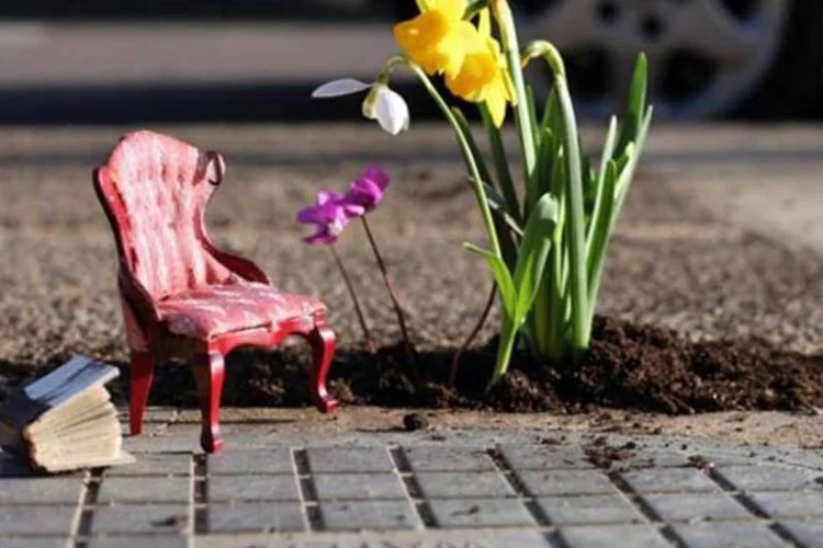 No meio do caminho, uma flor (Divulgação)