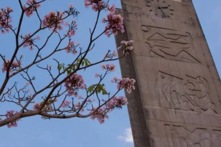 
	Pra&ccedil;a do rel&oacute;gio na USP: Al&eacute;m da USP, Unicamp aparece em 24.&ordf; e a Universidade Estadual Paulista (Unesp), em 87&ordf;
 (Marcos Santos/Divulgação/USP)