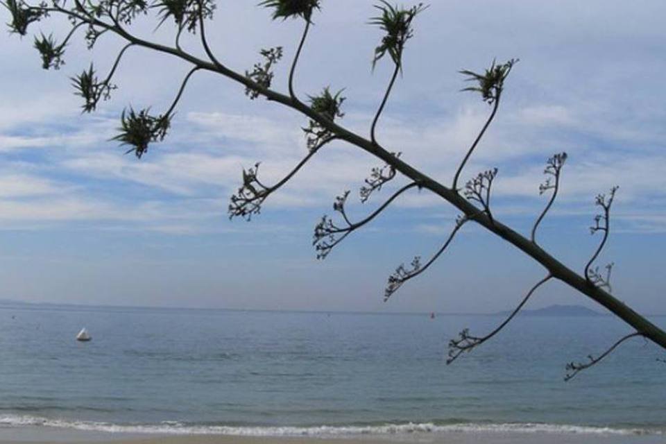 Cai liminar que interditava beach clubs em Florianópolis