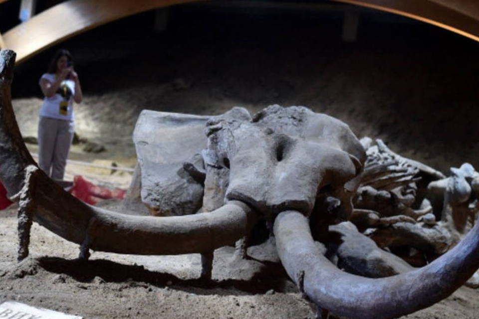 Encontrada presa de mamute usada em ritual pré-hispânico