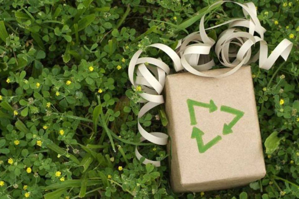 8 dicas de presentes "verdes" para o natal e amigo secreto