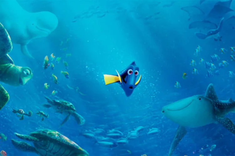 Easter Eggs: em Procurando Dory, quem aparece observando um aquário é a Riley, de Divertida Mente (Divulgação/Pixar)
