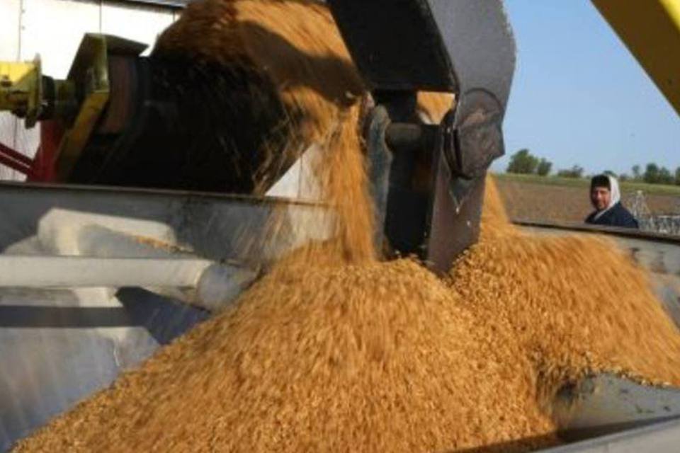 IBGE estima safra recorde de 146,5 mi de toneladas de grãos