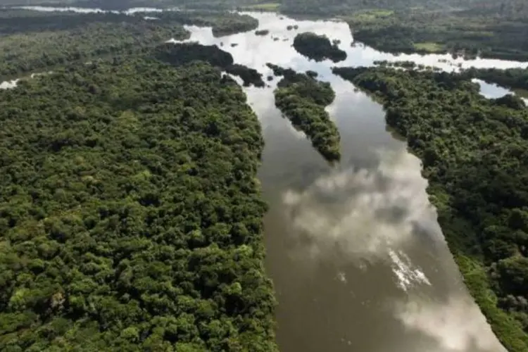 
	Rio Xingu, &aacute;rea de constru&ccedil;&atilde;o de Belo Monte: a empresa Norte Energia, respons&aacute;vel pela constru&ccedil;&atilde;o da usina, suspendeu ontem a execu&ccedil;&atilde;o das obras&nbsp;
 (Mario Tama/Getty Images)