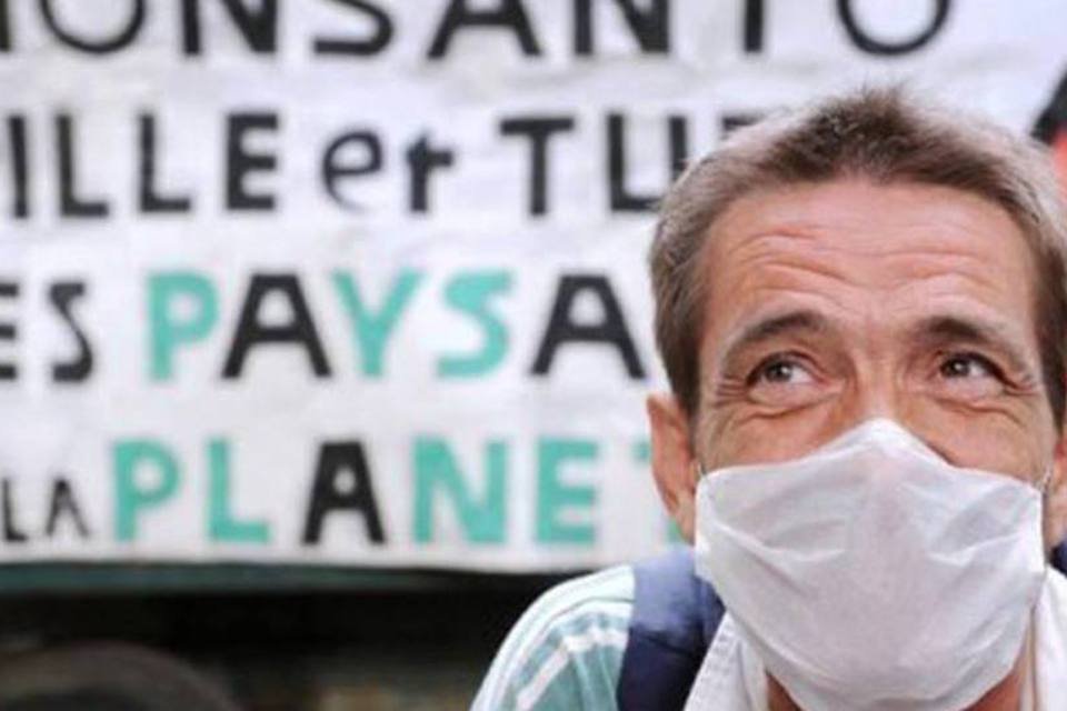 França pede à UE suspensão de milho transgênico da Monsanto