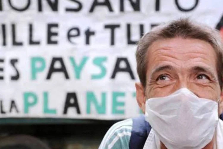 A suspensão do cultivo de milho transgênico da Monsanto foi adotada pelo governo francês em 2008 (Lionel Bonaventure/AFP)