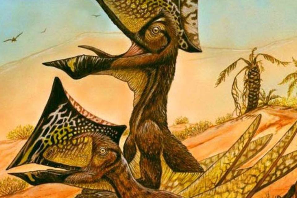 Brasileiros descobrem nova espécie de pterossauro