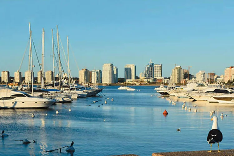 Marina de Punta Del Este: Century 21 de olho no interesse dos brasileiros na cidade (CARLOS PAZOS)