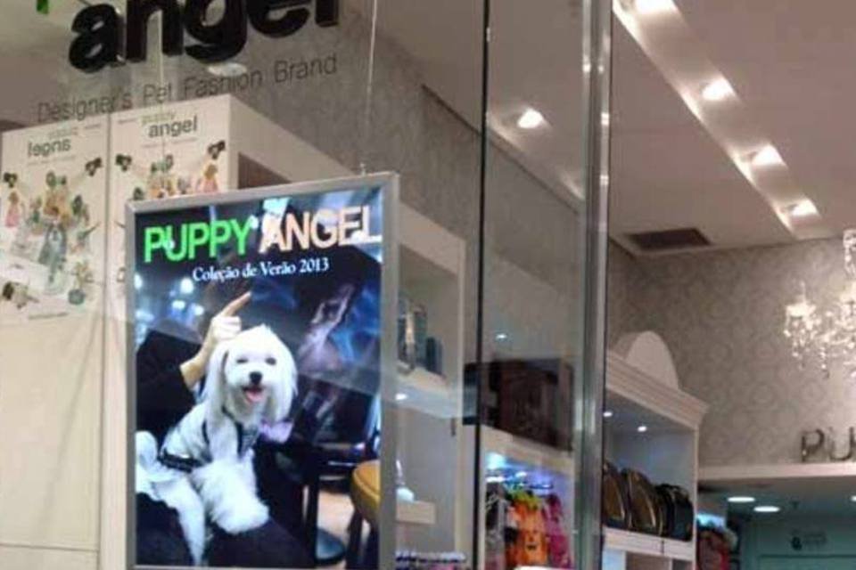 Franquia da Puppy Angel tem taxa de R$ 35 mil