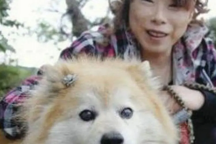 Cão Pusuke com sua dona, no Japão (Reprodução)