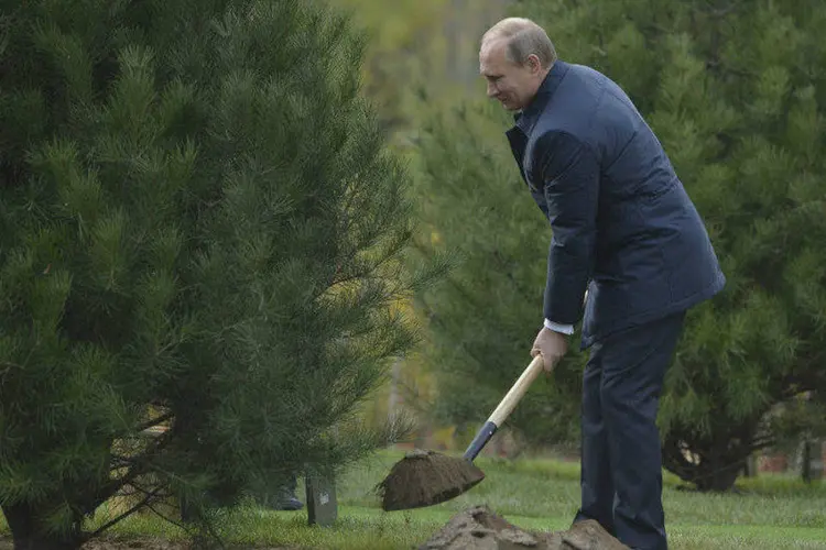 O presidente da Rússia, Vladimir Putin, durante cerimônia de plantio de pinheiros na Apec (Alexei Druzhinin/RIA Novosti/Kremlin/Reuters)