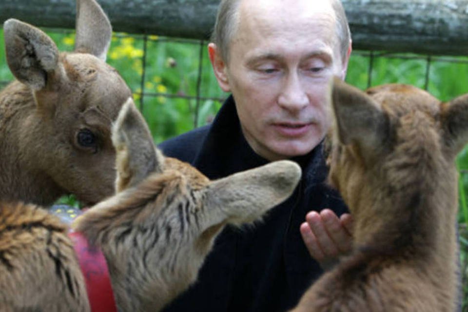 As poses e caretas de Vladimir Putin, o presidente radical