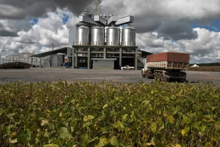 Caminhão chega para ser carregado durante a colheita de soja na Fazenda Mamonas em Correntina (Paulo Fridman/Bloomberg)