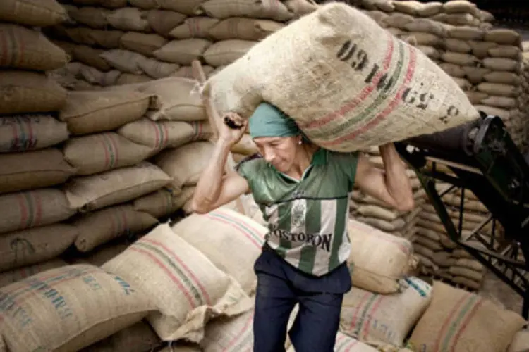 
	Trabalhador carrega sacos de caf&eacute;: resultados iniciais, embora indiquem um problema ainda maior para os produtores, podem n&atilde;o espelhar o resultado final da safra 2014 afetada severamente pela seca
 (Paul Smith/Bloomberg)