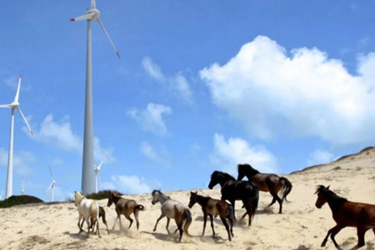 Fazenda de energia eólica da Tractebel Energia, unidade brasileira da GDF Suez, em Beberibe (Adriano Machado/Bloomberg)