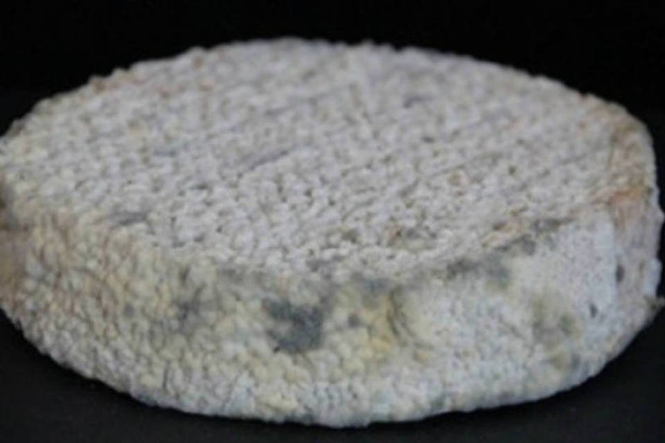 Cientistas criam queijo com bactérias dos pés e das axilas