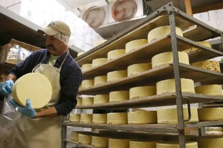 Fábrica de queijos: proibição afeta carnes, pescado, laticínios, verduras e frutas (Justin Sullivan/AFP)