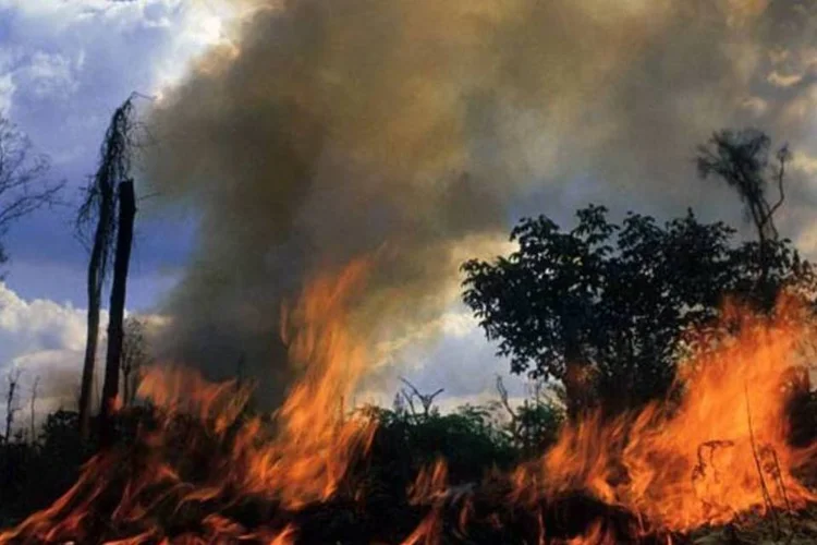 Queimada na floresta: cada vez mais, o mundo cobra do Brasil uma política de preservação (ANDRE PENNER)